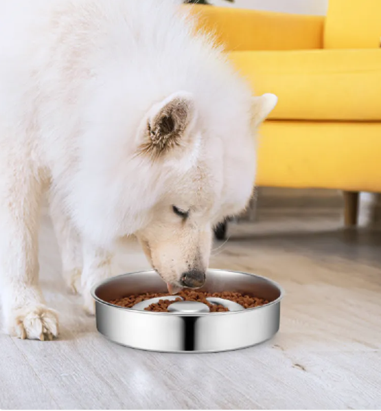Stainless Steel Pet Slow Feeder Bowl – Anti-Gulping Dog & Cat Bowl